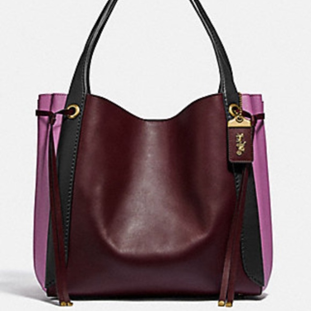 Coach Colorblock Harmony Hobo